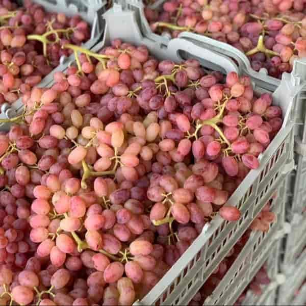 Red grapes