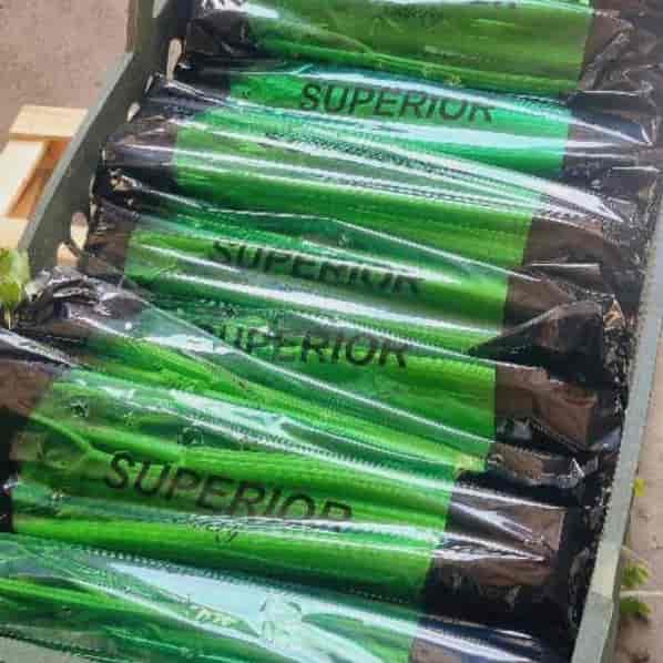 celery