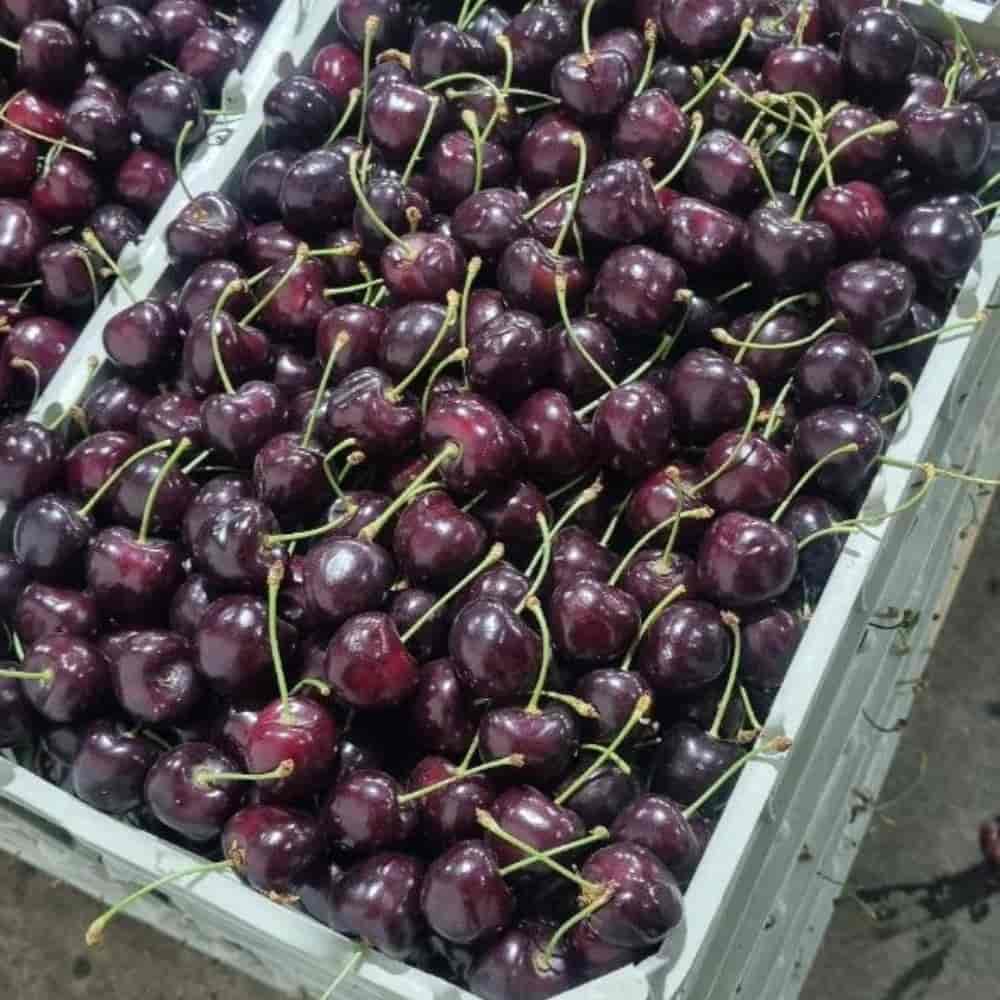 cherry