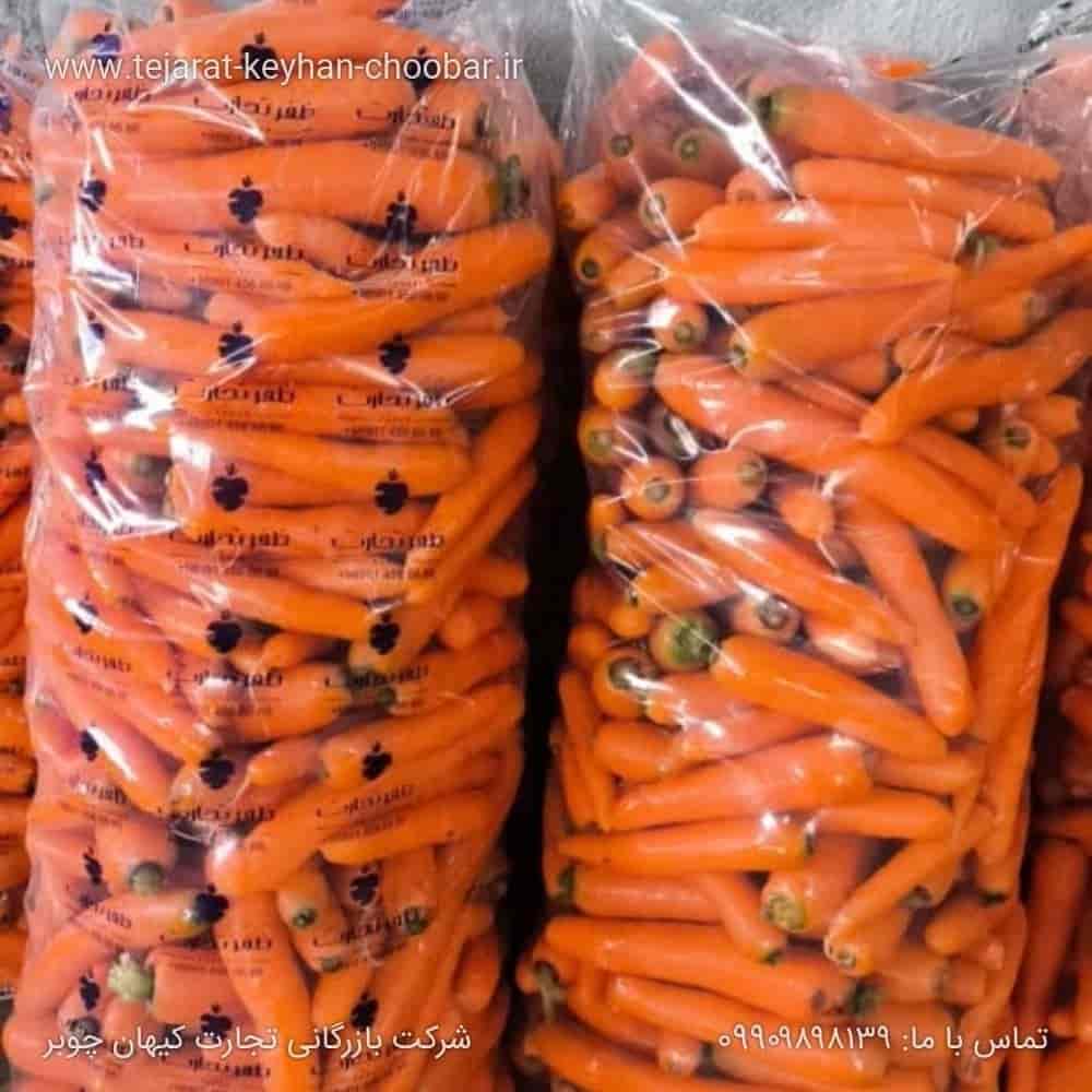 carrot
