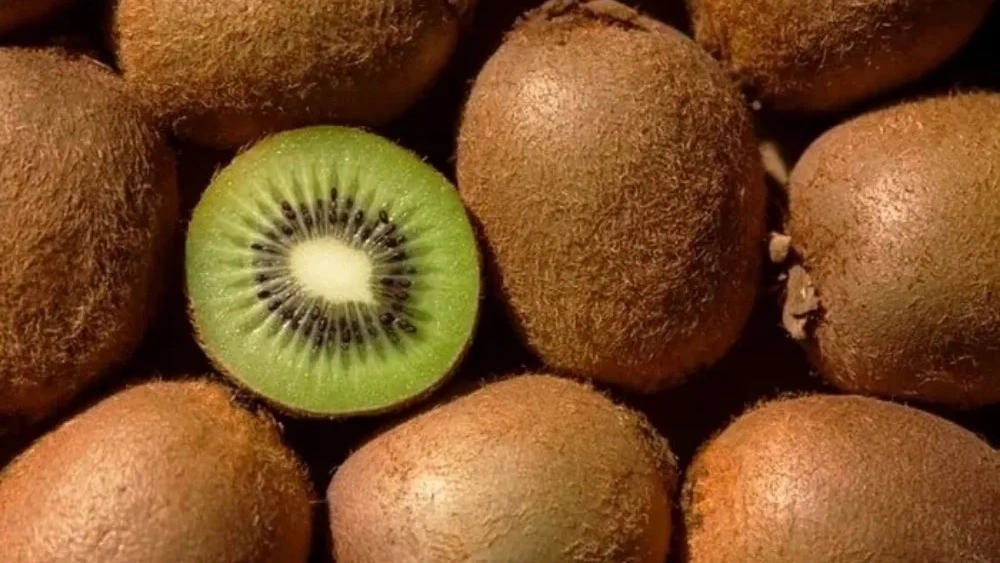 Kiwi export price and purchase conditions Kiwi export price and purchase conditions